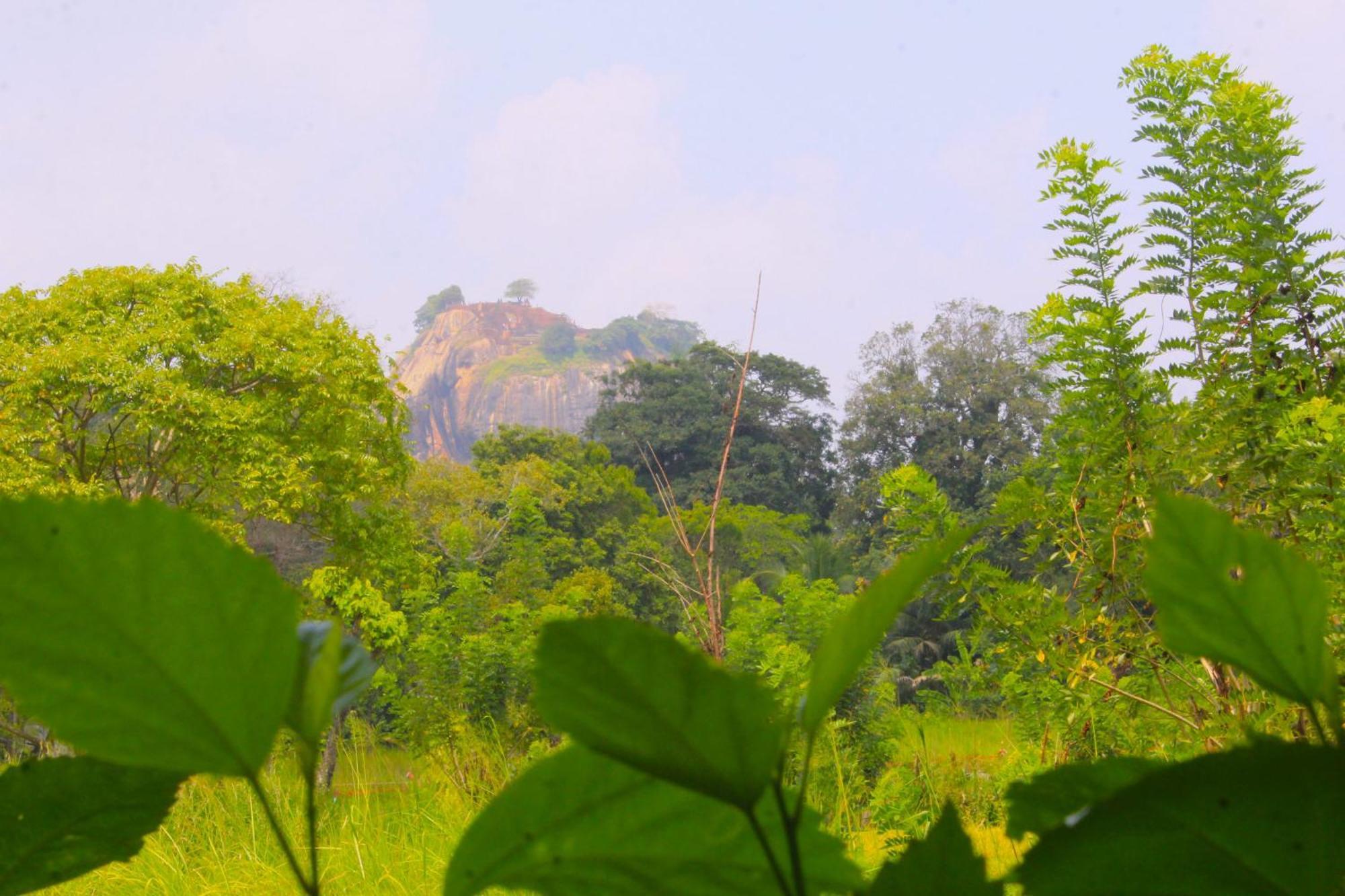 Sigiriya Palace View Экстерьер фото
